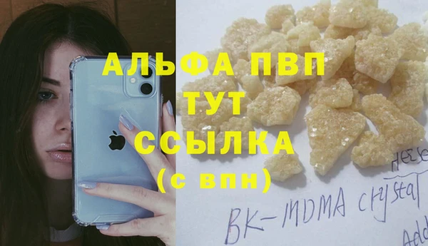 спиды Богородск