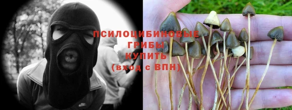 ешки Нягань
