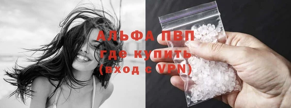 спиды Богородск