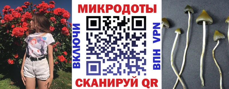 Псилоцибиновые грибы MAGIC MUSHROOMS  магазин    Котельнич 